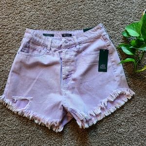 NWT Wild Fable Brand High Waisted Lilac Shorts